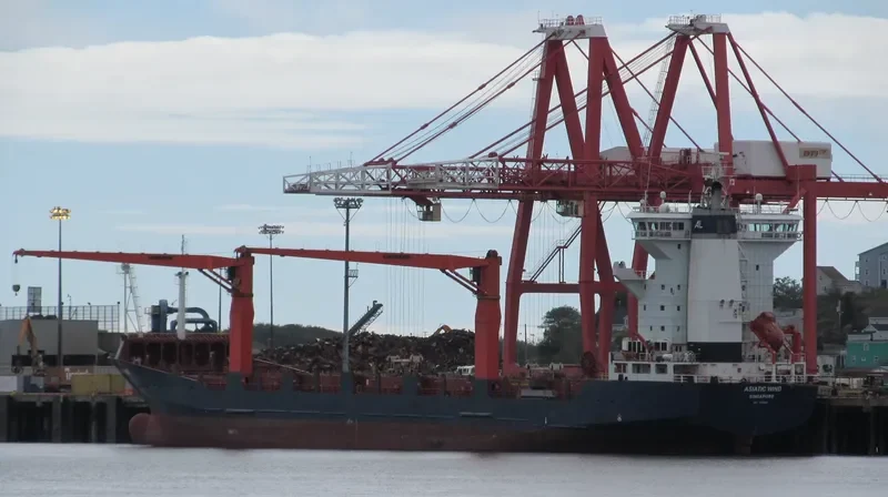 CFS WIND Container Ship IMO 9366495 photo 7