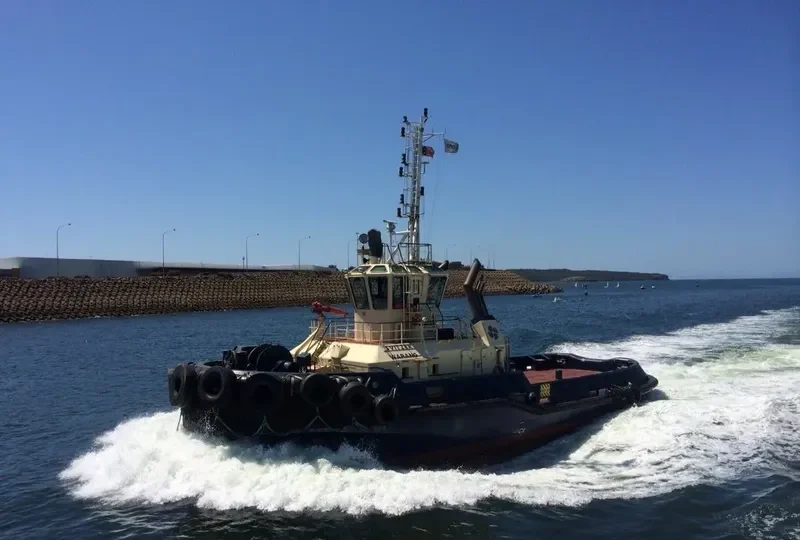 SVITZER WARANG General Cargo IMO 9366689 photo 5