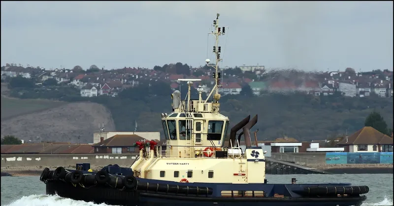 SVITZER HARTY General Cargo IMO 9366861 photo 9