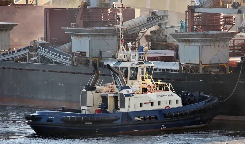 SVITZER COLMSLIE General Cargo IMO 9366885 photo 2