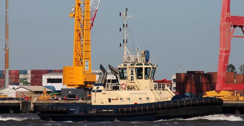 SVITZER COLMSLIE General Cargo IMO 9366885 photo 8