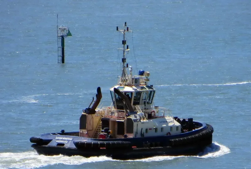 SVITZER NEWSTEAD General Cargo IMO 9366897 photo 2