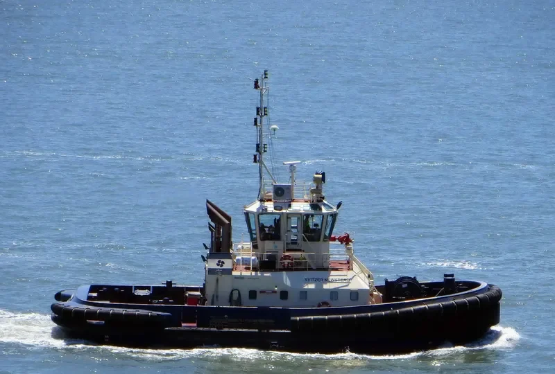 SVITZER NEWSTEAD General Cargo IMO 9366897 photo 3