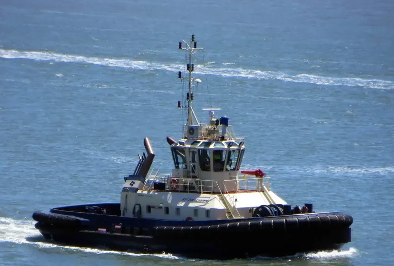 SVITZER NEWSTEAD General Cargo IMO 9366897 photo 4