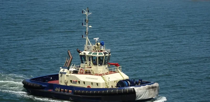SVITZER NEWSTEAD General Cargo IMO 9366897 photo 5