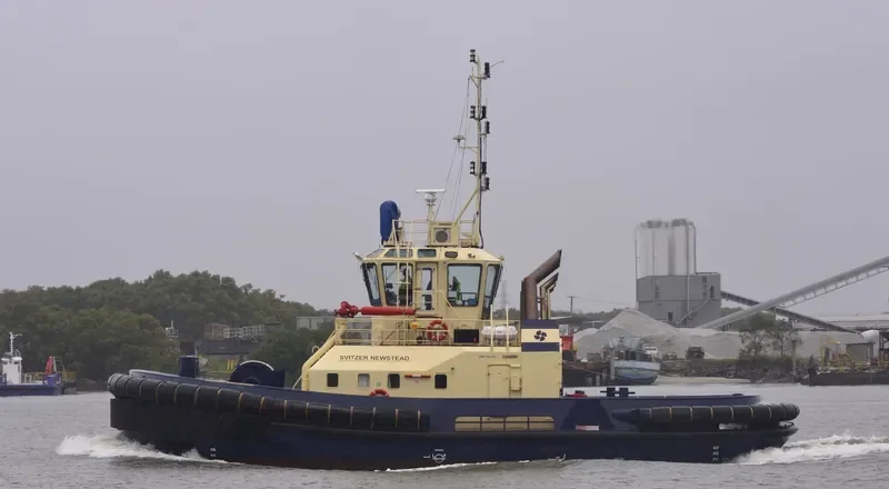 SVITZER NEWSTEAD General Cargo IMO 9366897 photo 9