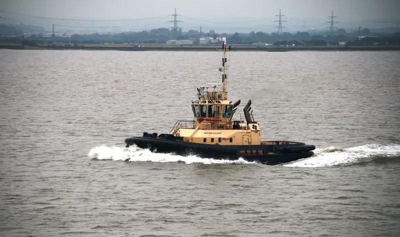 SVITZER VALIANT General Cargo IMO 9366902 photo 2