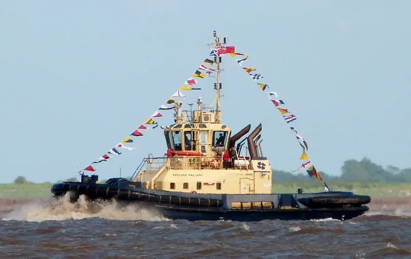 SVITZER VALIANT General Cargo IMO 9366902 photo 7