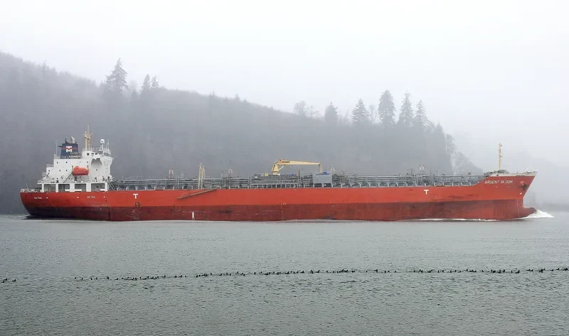 BOW CAROLINE Tanker IMO 9367554 photo 8