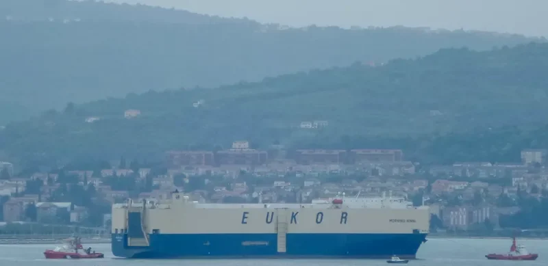 MORNING NINNI General Cargo IMO 9367592 photo 3