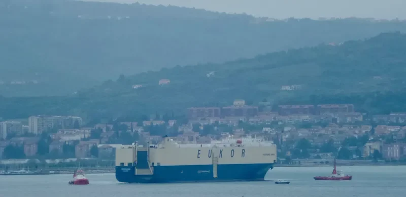 MORNING NINNI General Cargo IMO 9367592 photo 4