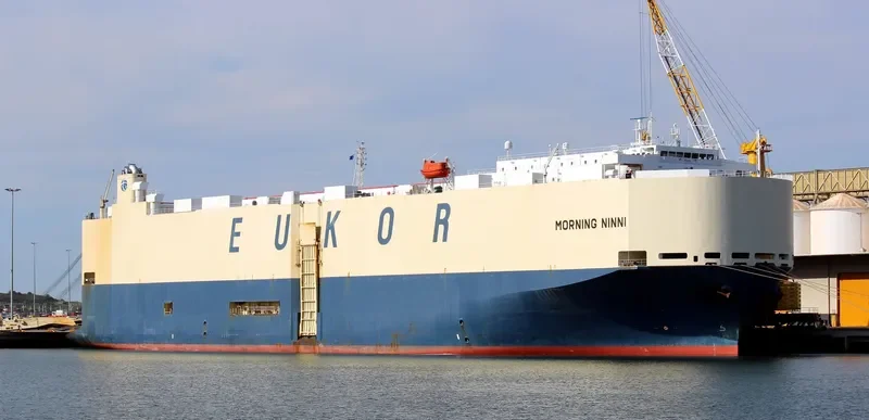 MORNING NINNI General Cargo IMO 9367592 photo 7