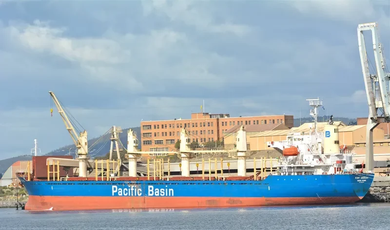PORT ANGELES Bulk Carrier IMO 9367621 photo 2