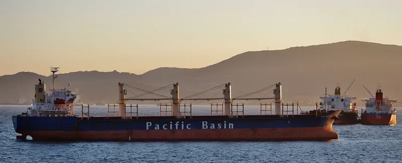 PORT ANGELES Bulk Carrier IMO 9367621 photo 5
