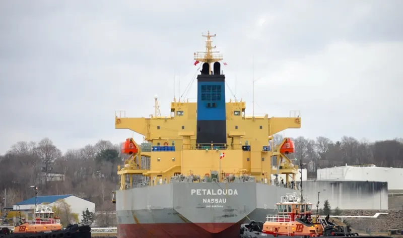 PETALOUDA Tanker IMO 9367669 photo 7