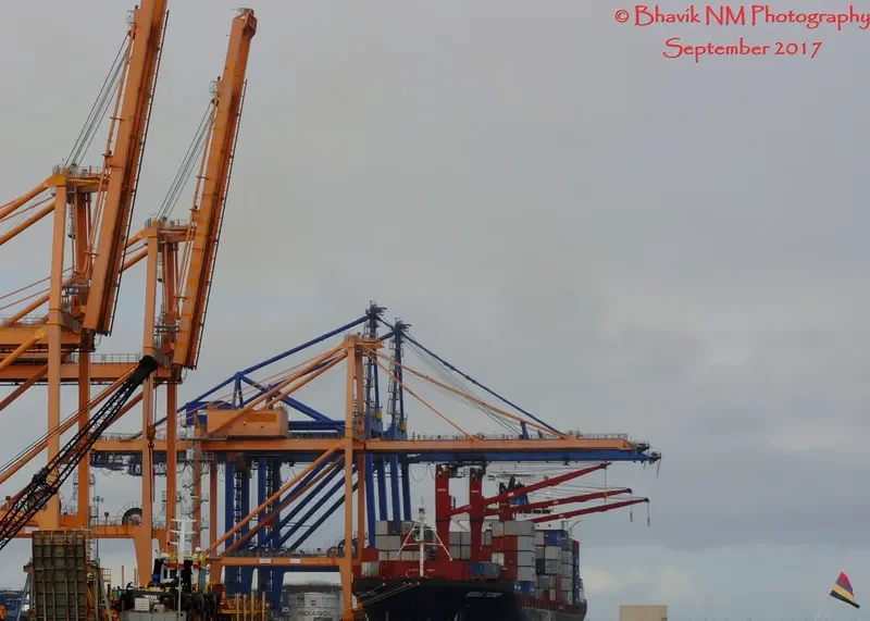 SEOUL TOWER Container Ship IMO 9367839