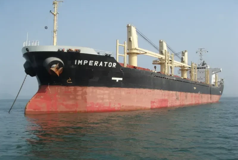 IMPERATOR Bulk Carrier IMO 9367906 photo 8