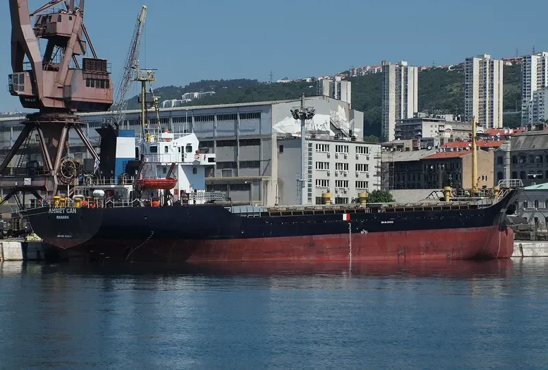 AHMET CAN General Cargo IMO 9368182 photo 3