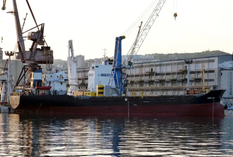 AHMET CAN General Cargo IMO 9368182 photo 6