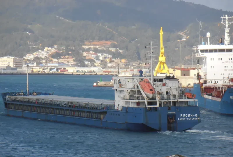 RUSICH 8 General Cargo IMO 9368209 photo 10