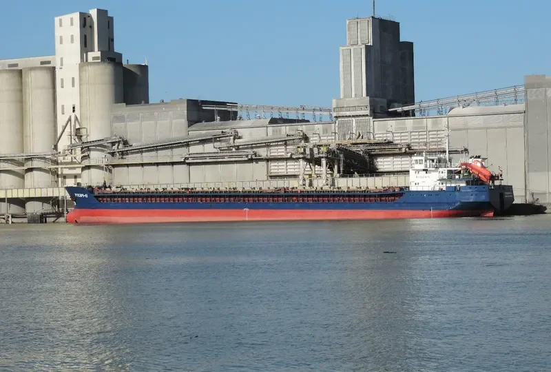 RUSICH 11 General Cargo IMO 9368259 photo 4