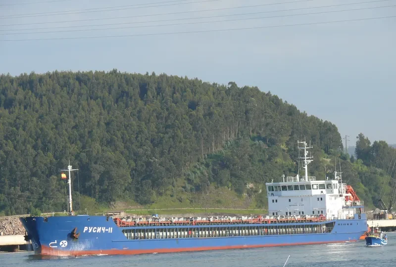 RUSICH 11 General Cargo IMO 9368259 photo 9