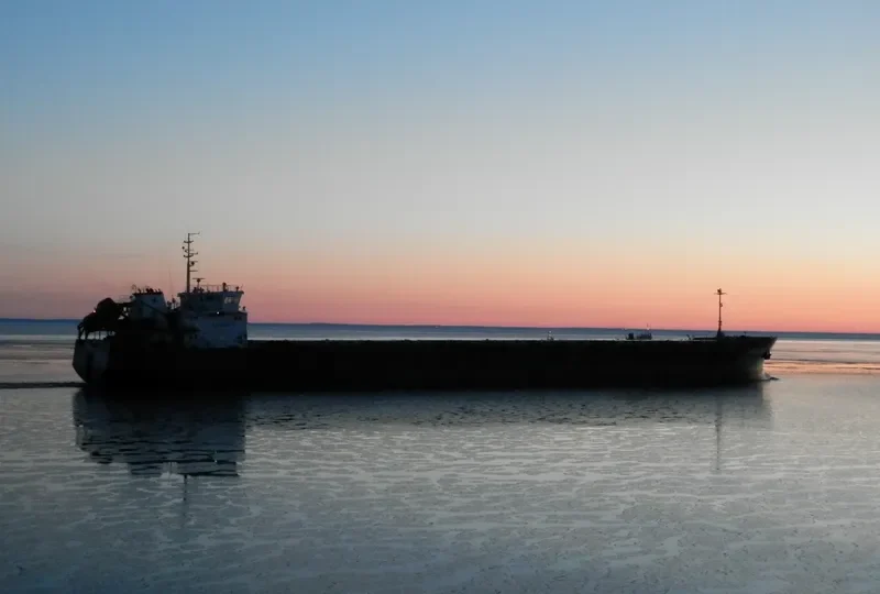 RUSICH 11 General Cargo IMO 9368259 photo 10
