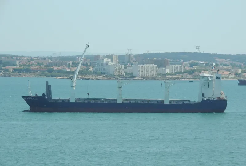 CELINA General Cargo IMO 9368326 photo 4