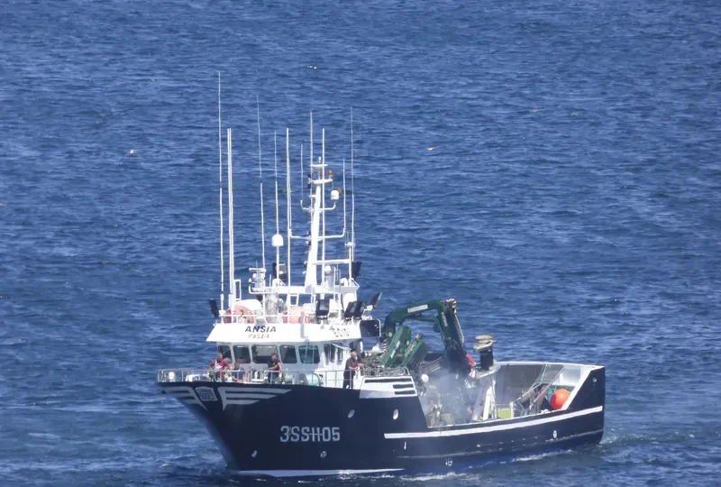 ANSIA General Cargo IMO 9368376 photo 2