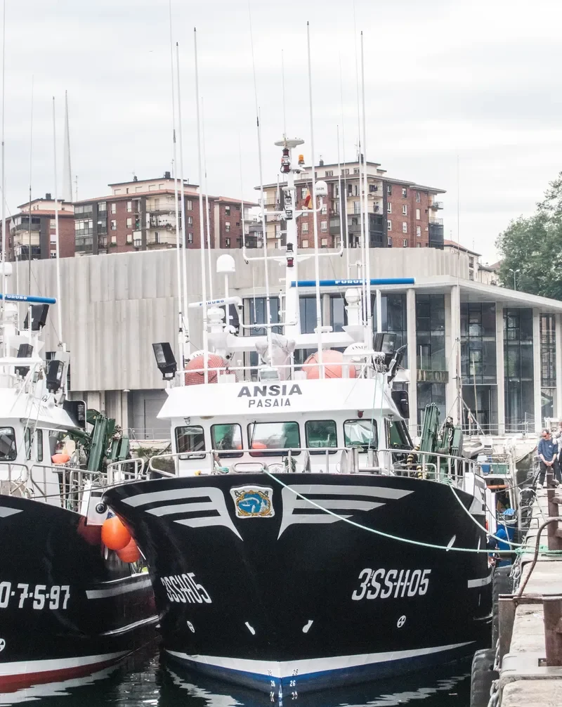 ANSIA General Cargo IMO 9368376 photo 3