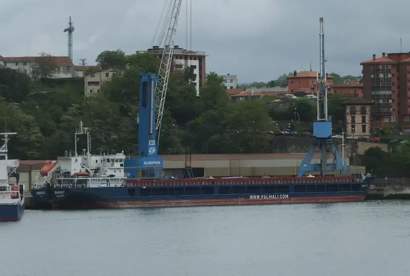 LOIRE RIVER General Cargo IMO 9368584 photo 10