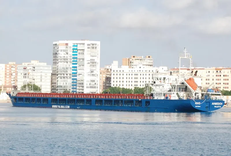 RHINE RIVER General Cargo IMO 9368601
