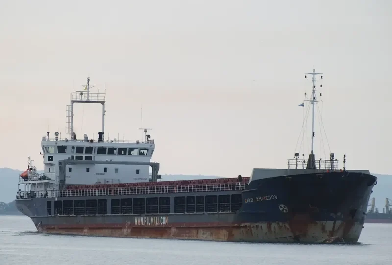 RHINE RIVER General Cargo IMO 9368601 photo 7