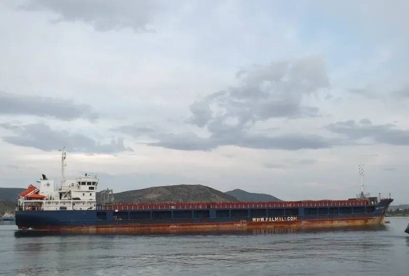 RHINE RIVER General Cargo IMO 9368601 photo 8