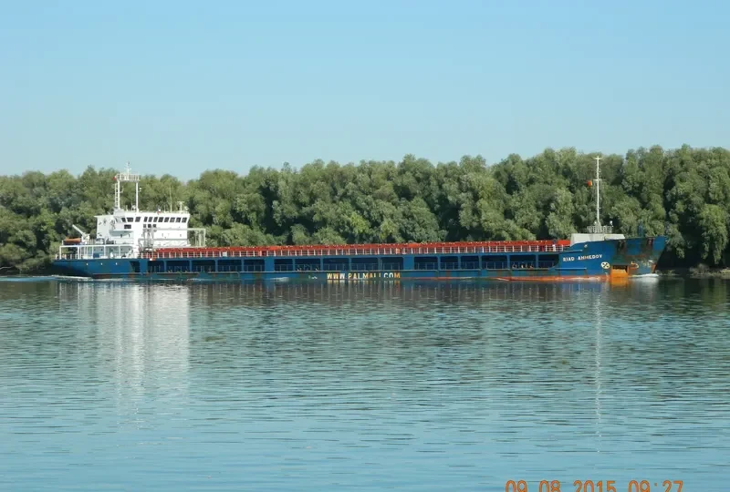 RHINE RIVER General Cargo IMO 9368601 photo 9