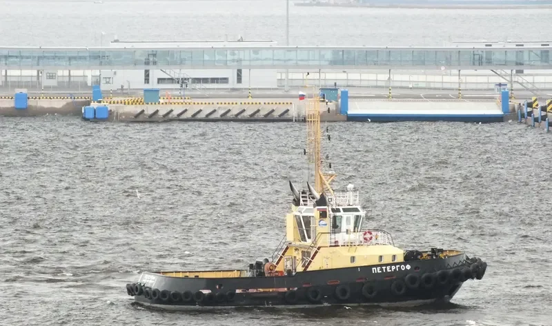 PETERGOF General Cargo IMO 9368651 photo 4