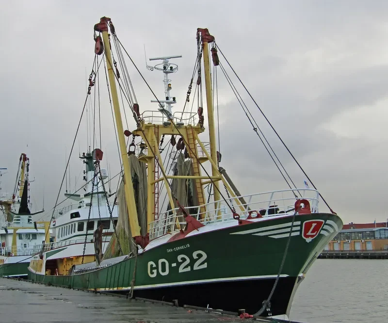 JAN CORNELIS General Cargo IMO 9368663 photo 4