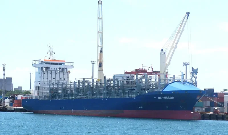 EF ELENA Container Ship IMO 9368730 photo 2