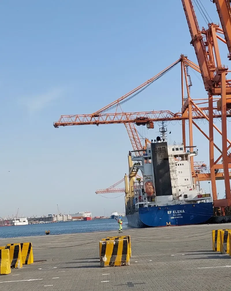 EF ELENA Container Ship IMO 9368730 photo 7