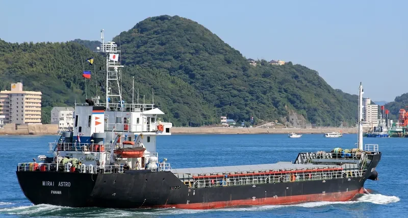 MIRAI ASTRO General Cargo IMO 9368754 photo 6