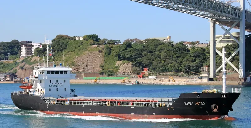 MIRAI ASTRO General Cargo IMO 9368754 photo 9