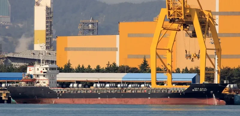 MIRAI BRIGHT General Cargo IMO 9368766 photo 5