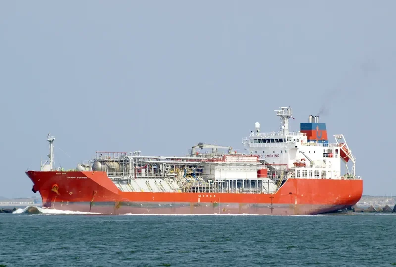 HAPPY CONDOR General Cargo IMO 9368780 photo 7