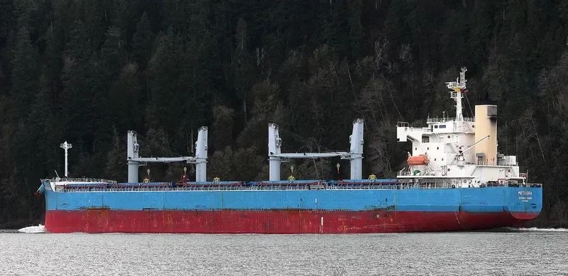 METEORA Bulk Carrier IMO 9368845