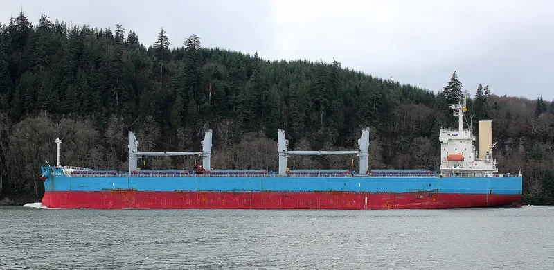 METEORA Bulk Carrier IMO 9368845 photo 2
