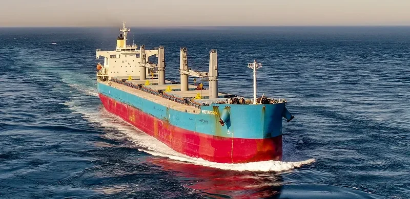 METEORA Bulk Carrier IMO 9368845 photo 9