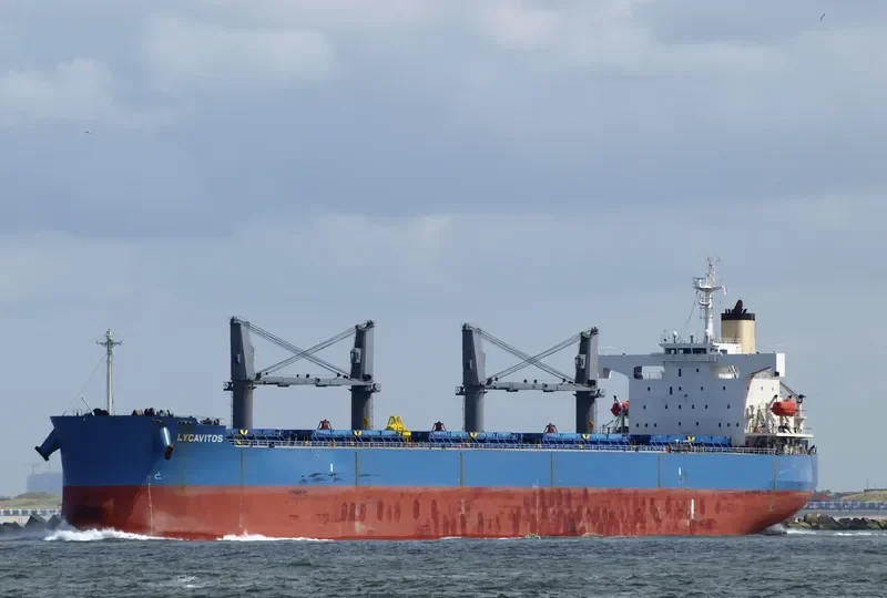 LYCAVITOS Bulk Carrier IMO 9368857