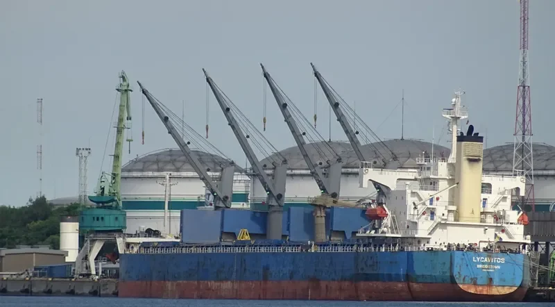 LYCAVITOS Bulk Carrier IMO 9368857 photo 2