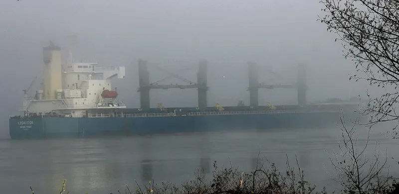 LYCAVITOS Bulk Carrier IMO 9368857 photo 3