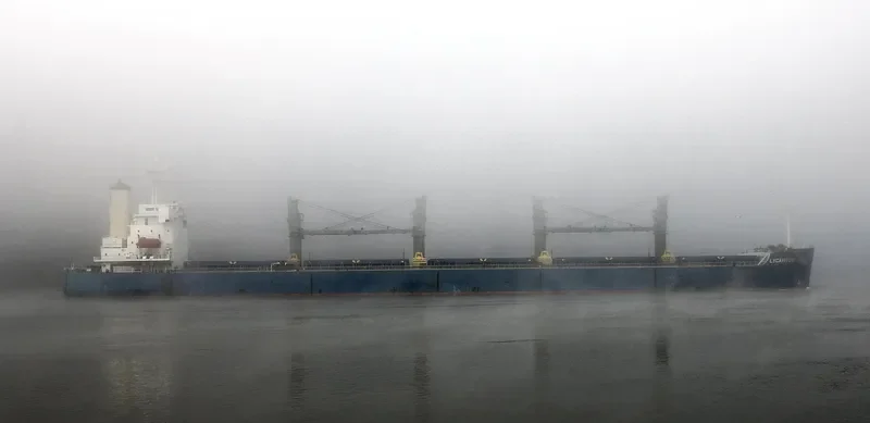 LYCAVITOS Bulk Carrier IMO 9368857 photo 4